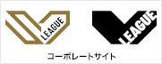 一般社団法人ジャパンバレーボールリーグ