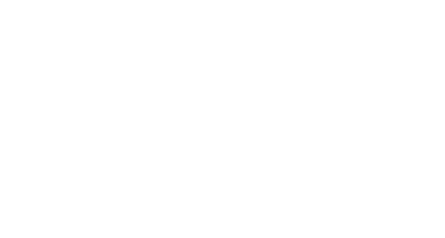 V LEAGUE